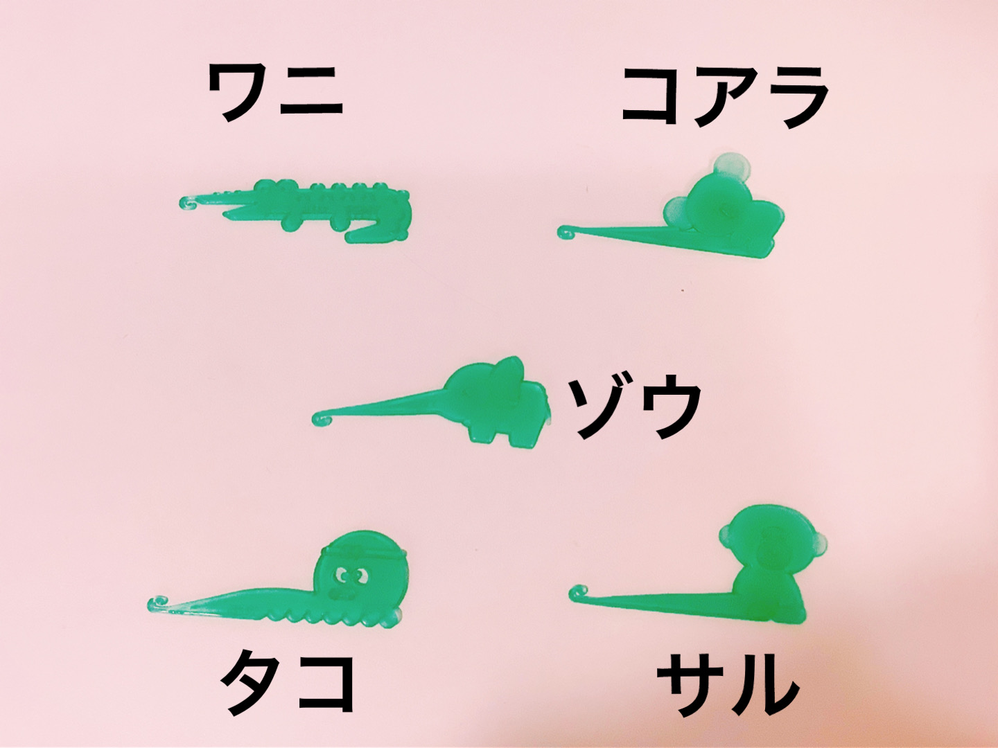 とても大事なゴムかけ 顎間ゴム について 名古屋市北区 みずの矯正歯科